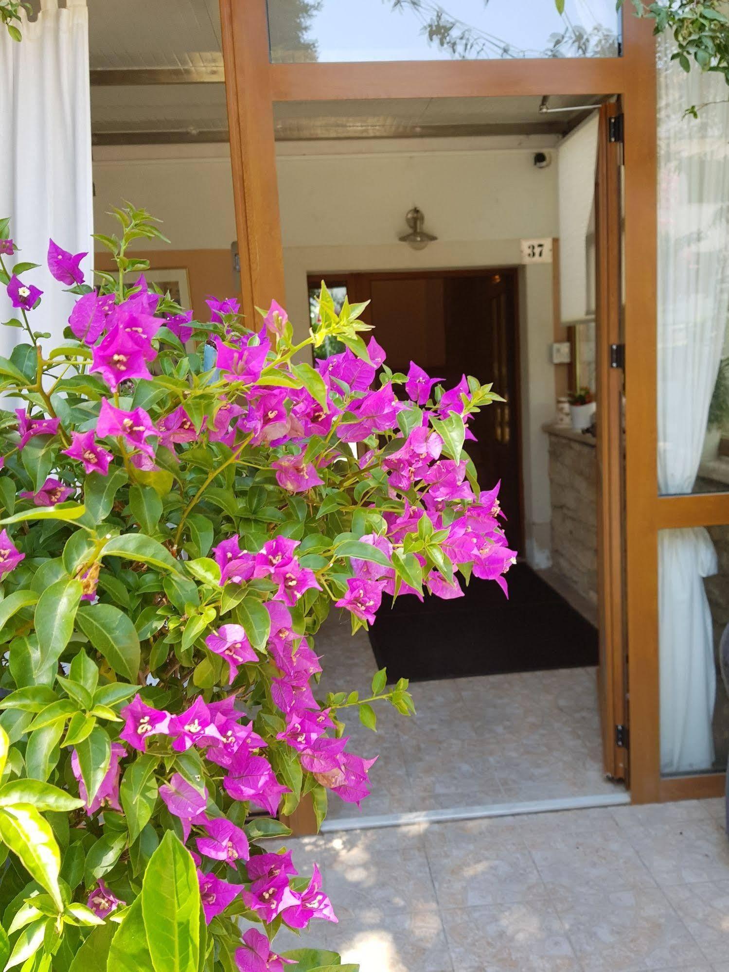 Boutique Hotel Santa Maria Novigrad Istria 외부 사진